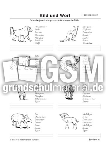 BuW Zootiere47.pdf